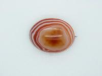 Antique Victorian Beautiful Banded Orange Agate Stone Oval Domed Brooch 