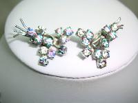 30s AB Rainbow Crystal Diamante Flower Drop Necklace and Earrings Set