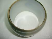 Wide Peacock Feather Print Lucite Cuff Bangle Statement Piece!